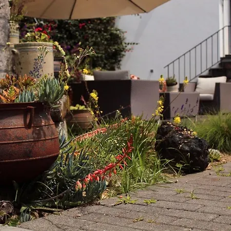 Casa Da Cisaltina Povoacao (Sao Miguel)