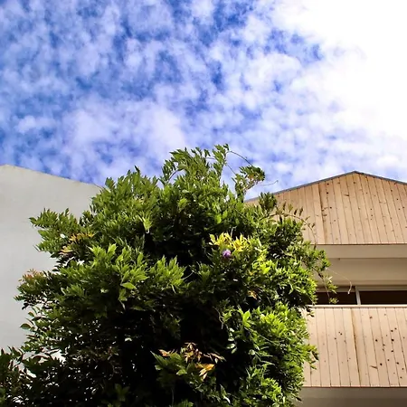 Casa Da Cisaltina Country house