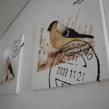 Casa Da Cisaltina * بوفواساو