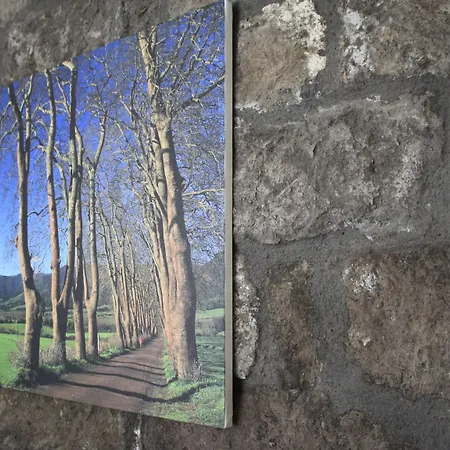 منزل ريفي Casa Da Cisaltina *