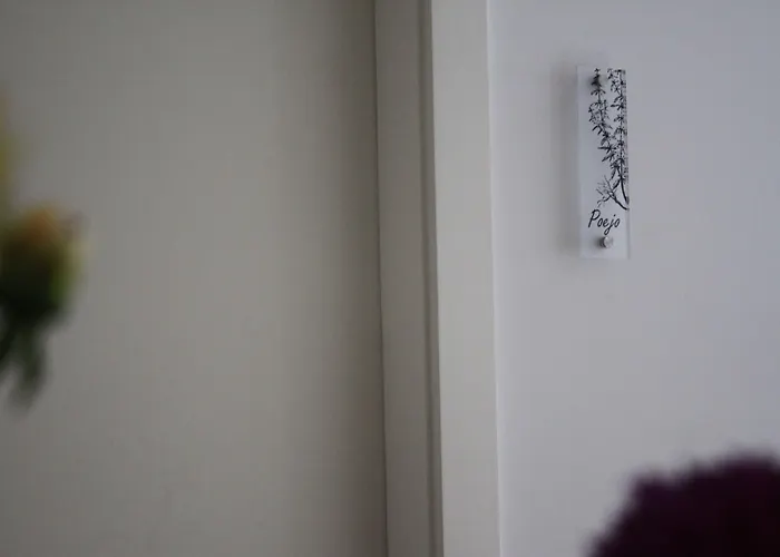 Casa Da Cisaltina Povoacao (Sao Miguel)