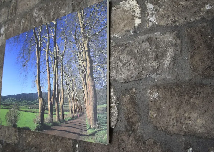 Venkovský dům Casa Da Cisaltina *