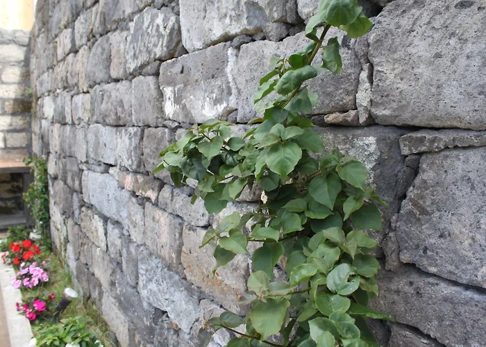 Casa Da Cisaltina * Povoacao (Sao Miguel)