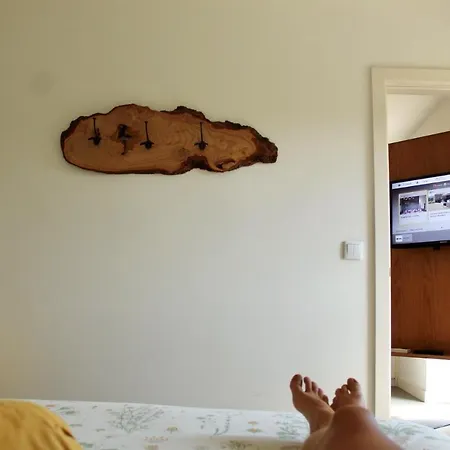 Casa Da Cisaltina Venkovský dům Povoacao (Sao Miguel)