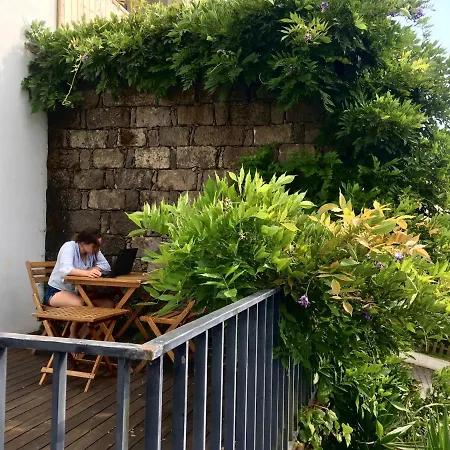 Casa Da Cisaltina Venkovský dům Povoacao (Sao Miguel)