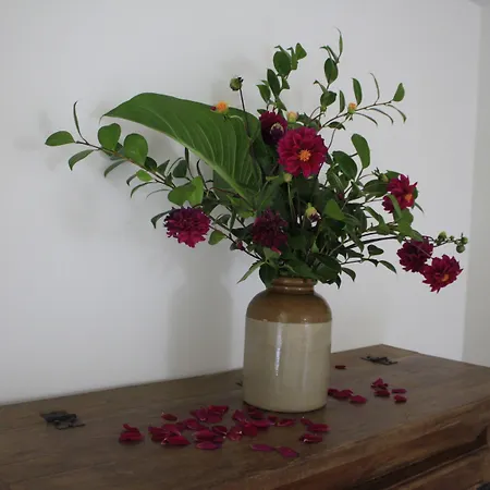 Landhaus Casa Da Cisaltina Povoacao (Sao Miguel)