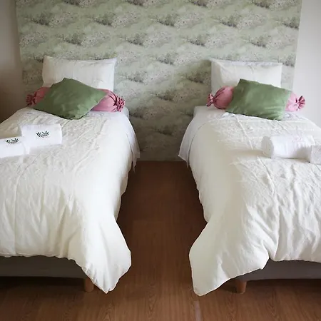 カントリーハウス Casa Da Cisaltina